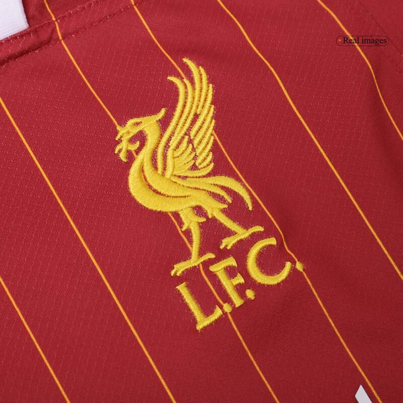 VIRGIL #4 Liverpool Home Soccer Jersey 2024/25