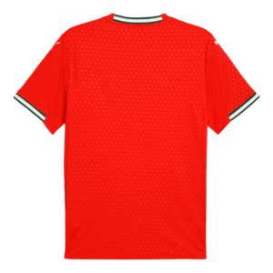 578413_2 Camisola de Futebol de Portugal 2025