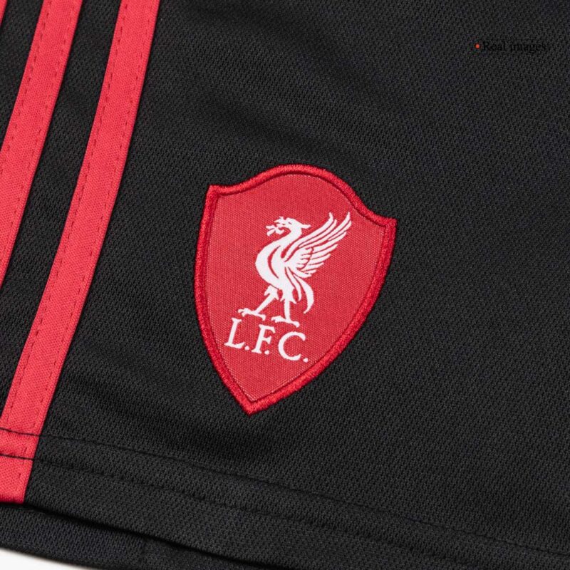 606602_12 Liverpool Away Kids Soccer Jerseys Full Kit 2025/26