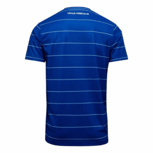 627213_2 Dinamo Zagreb Home Soccer Jersey 2025/26