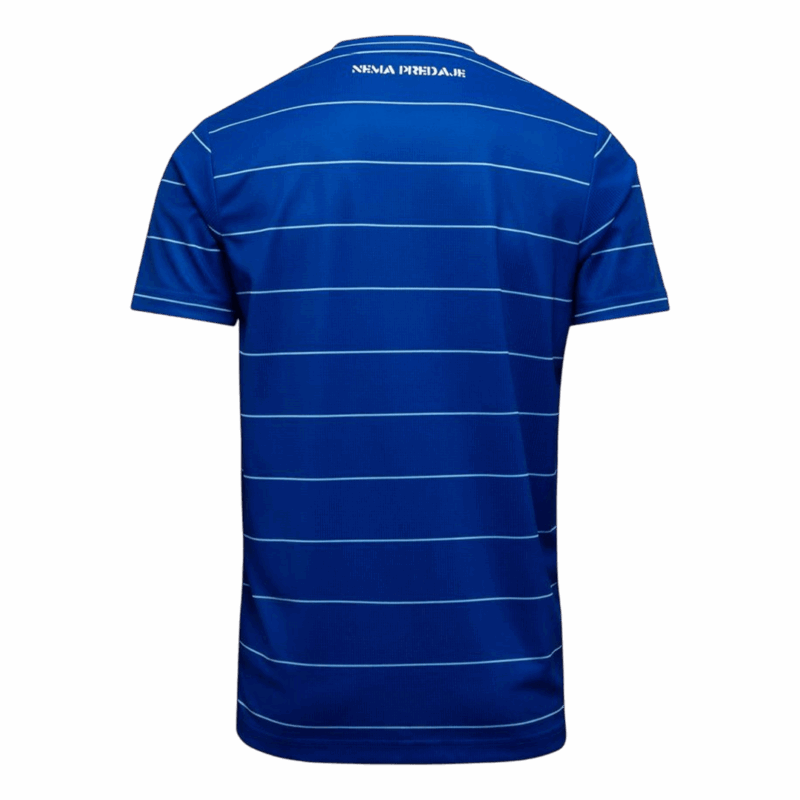 627213_2 Dinamo Zagreb Home Soccer Jersey 2025/26