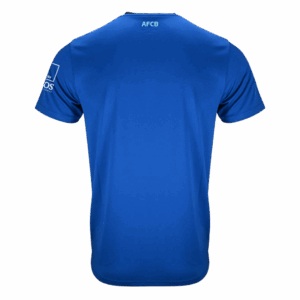 618481_2 AFC Bournemouth Away Soccer Jersey 2025/26