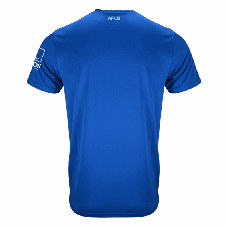 618481_2 AFC Bournemouth Away Soccer Jersey 2025/26