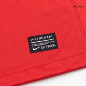 613916_9 Portugal Home Soccer Jersey Retro 2010